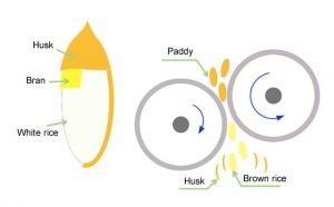 Rice Hulling Process