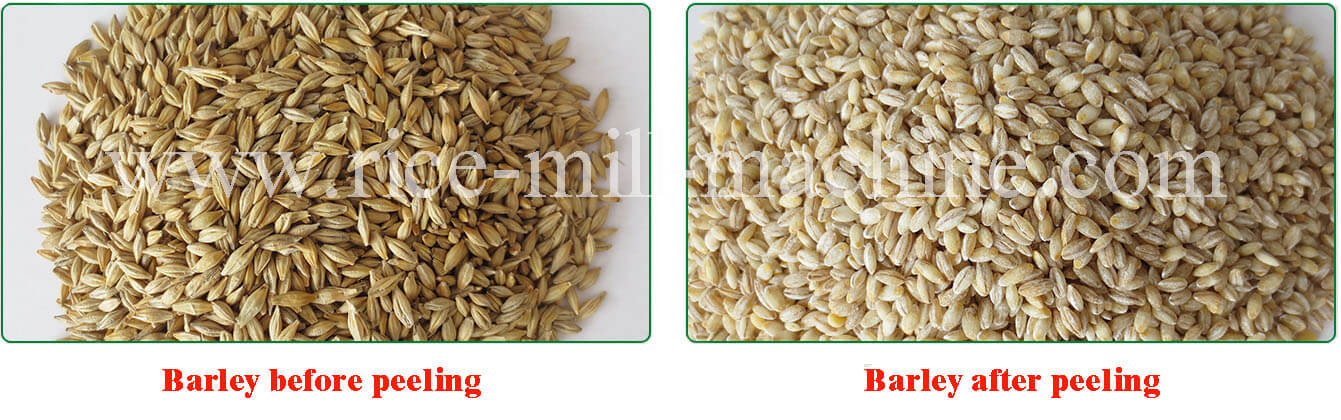 Barley milling machine - barley