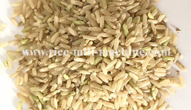 Paddy Separator - Brown Rice